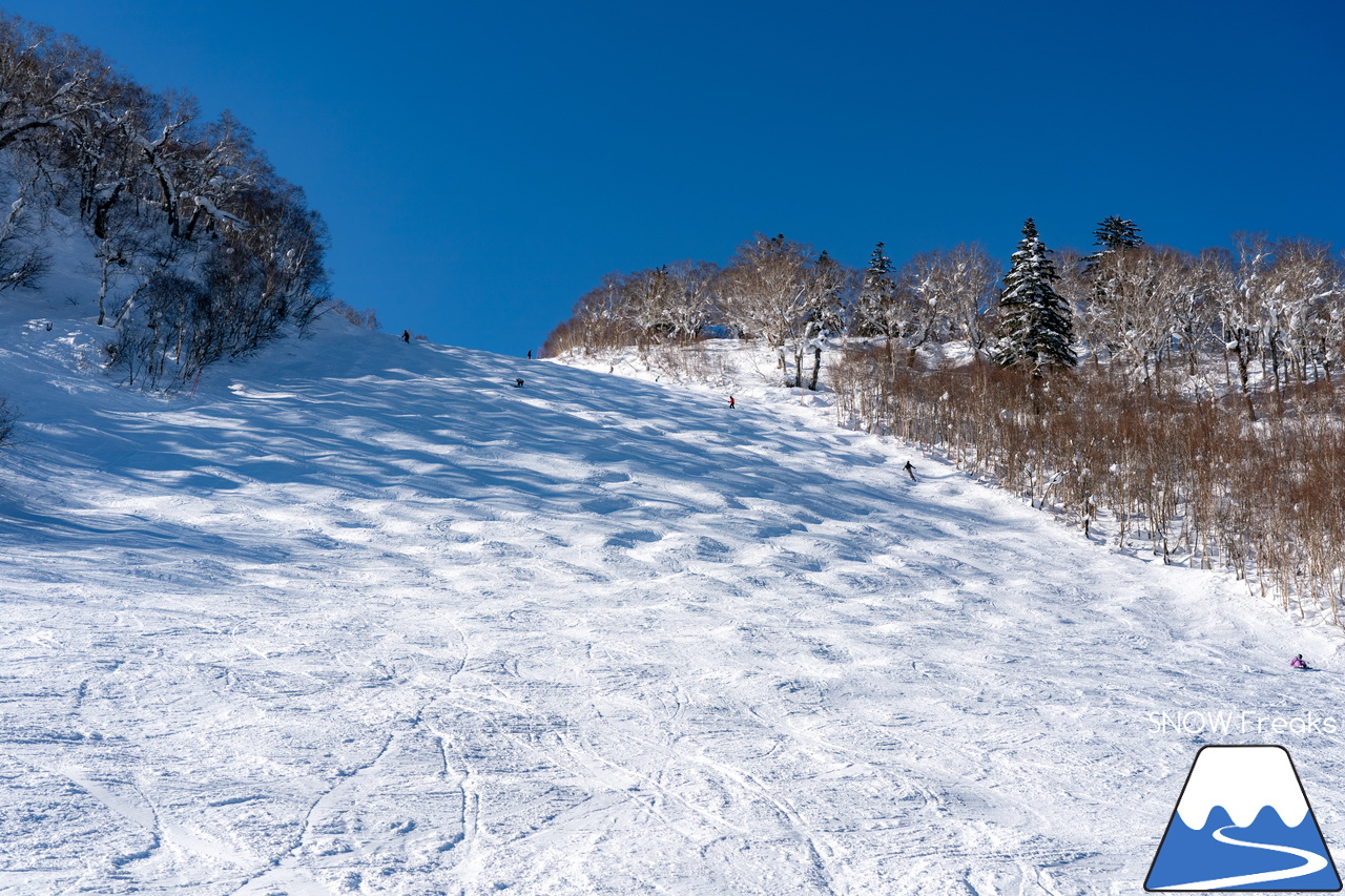 札幌国際スキー場｜北海道最高峰・旭岳も見えた！これ以上はなかなか無い、澄み渡る青空に恵まれた１月最後の日曜日。